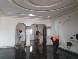 Black or While Cleaning With Cleantex