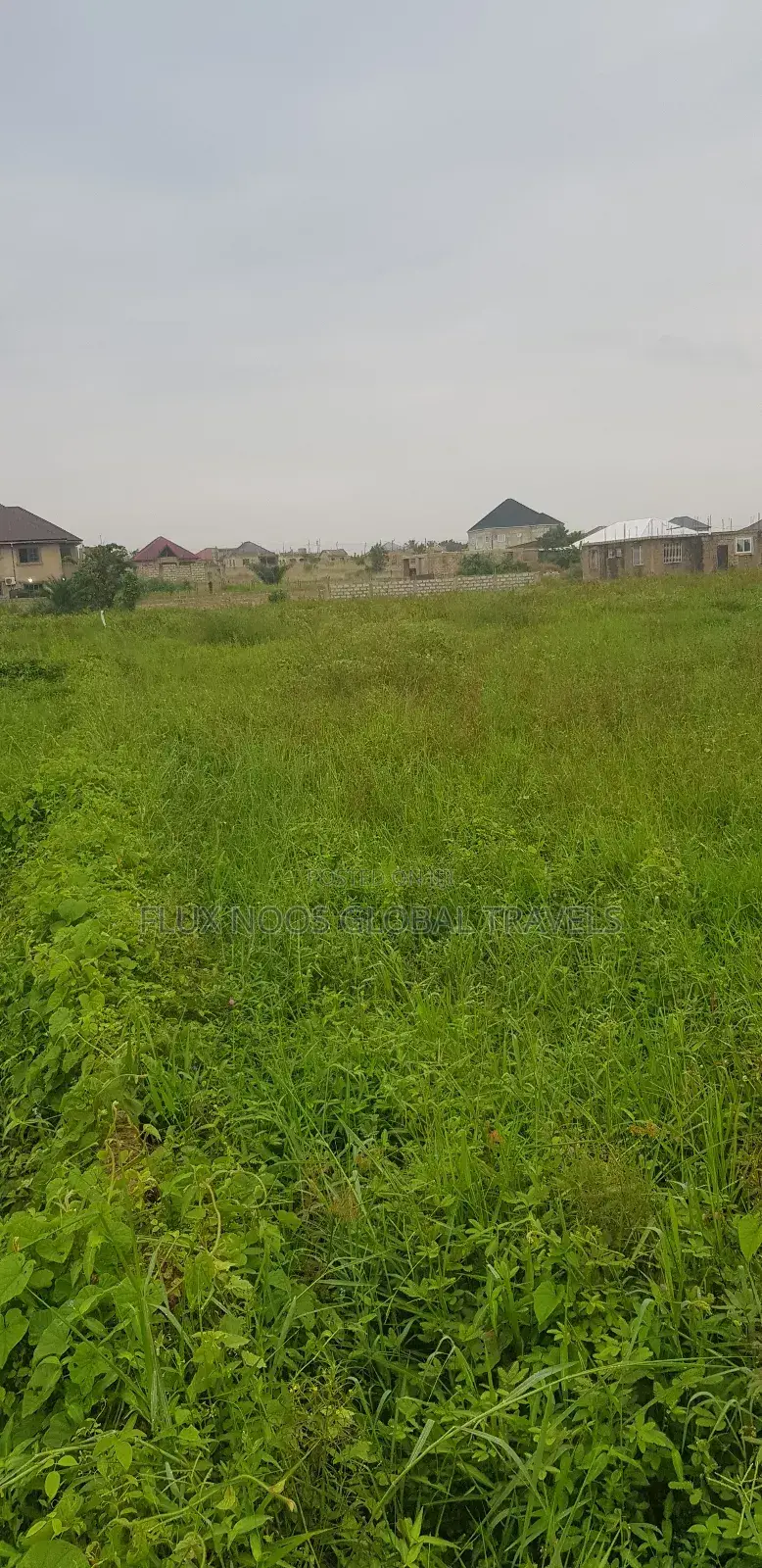 Half Plots, Full Plots for Car Swap