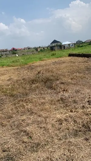 Half Plots, Full Plots for Car Swap