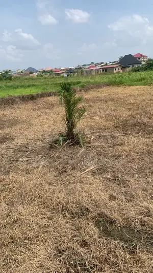 Half Plots, Full Plots for Car Swap