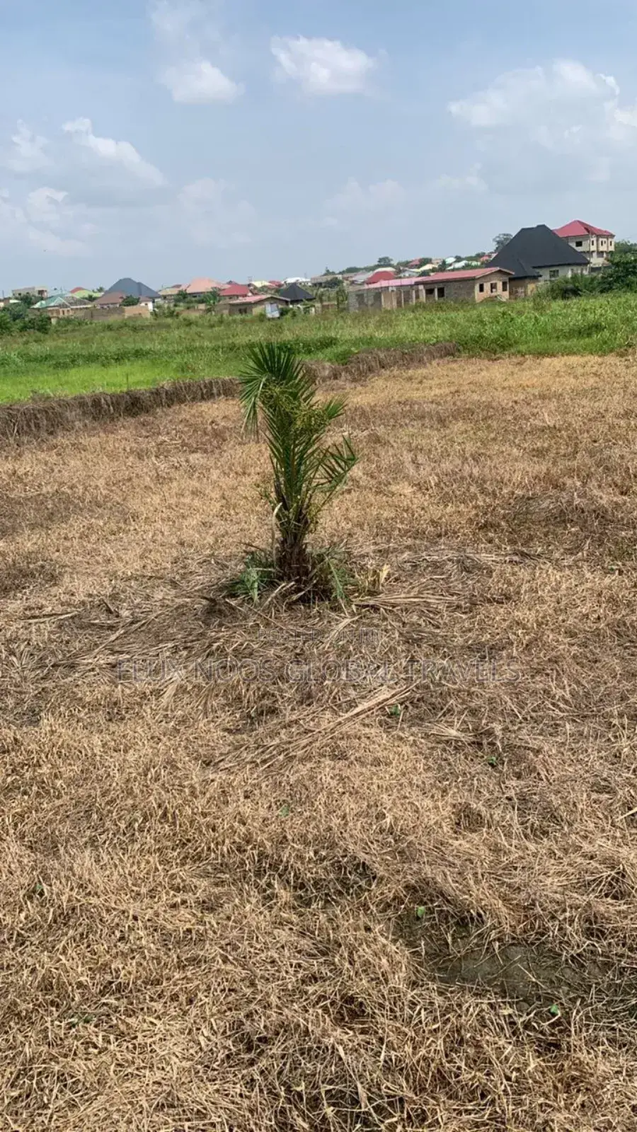 Half Plots, Full Plots for Car Swap