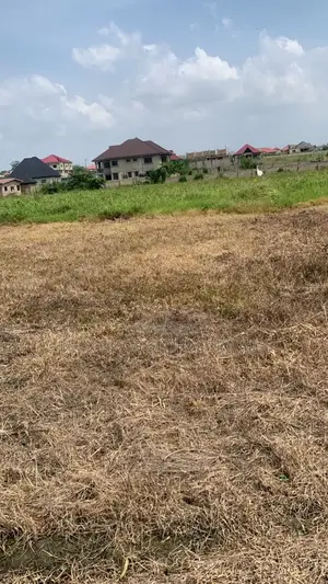 Half Plots, Full Plots for Car Swap