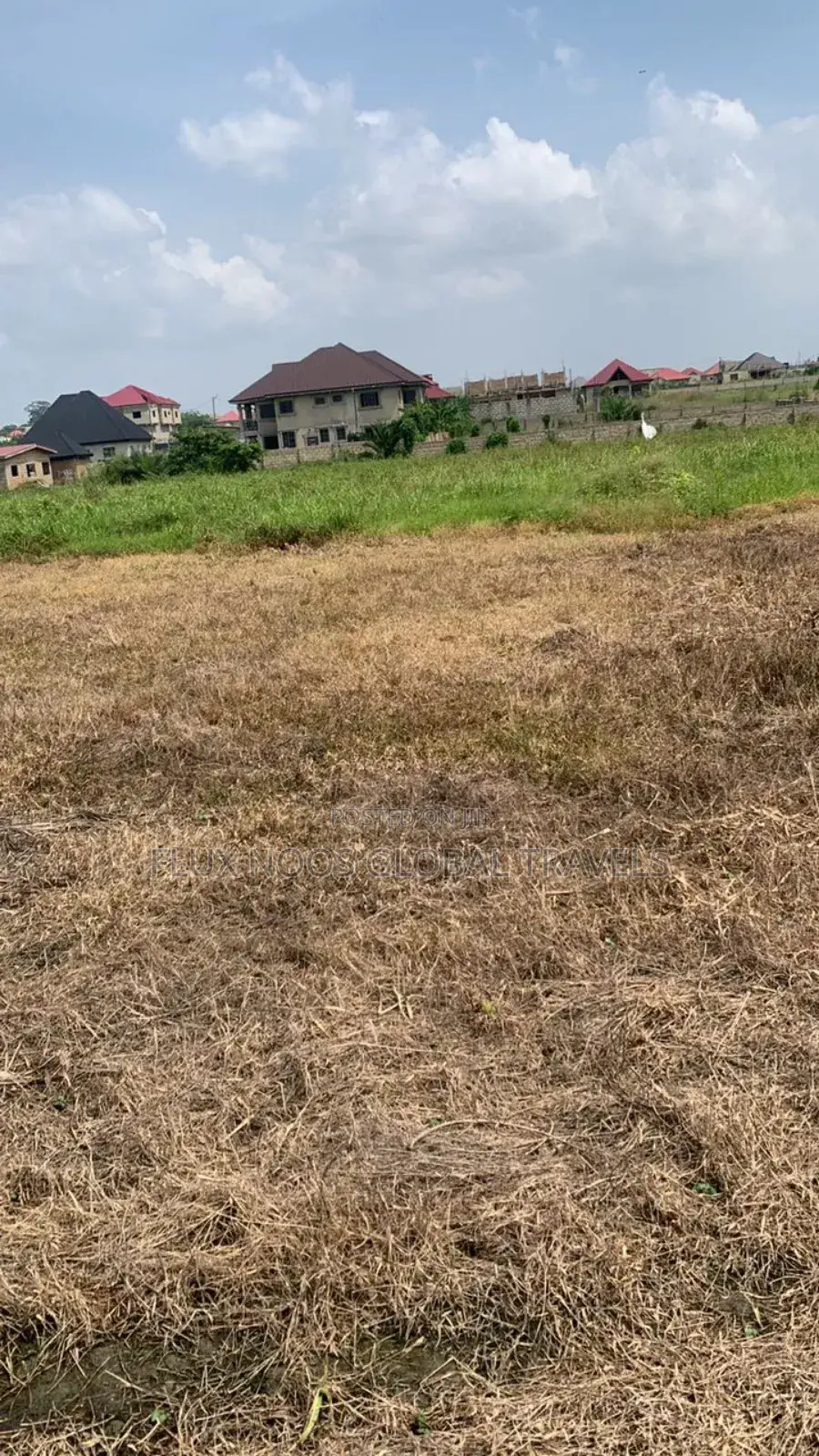 Half Plots, Full Plots for Car Swap