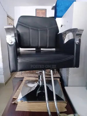 Unisex Salon Chair