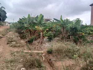 Plot of Land at Ipt