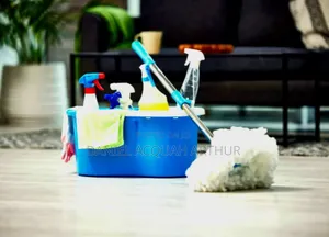 Clean X (House and Car)
