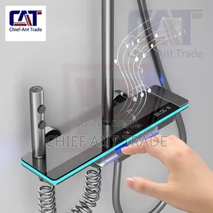 Temperature Shower Digital 4 Flow
