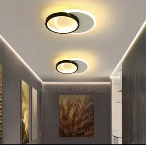 Modern Ceiling Light