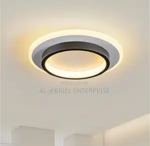 Sleek Ceiling Light