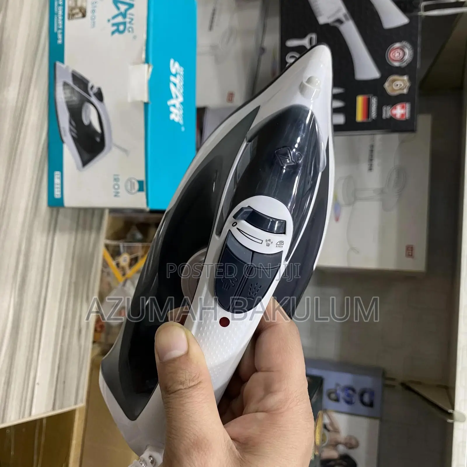 Winning Star Electric Steam Iron