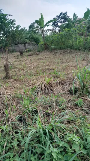 Registered Plots(Flexible Payment 4 Sale at Samsam Near Mayera Pokuase