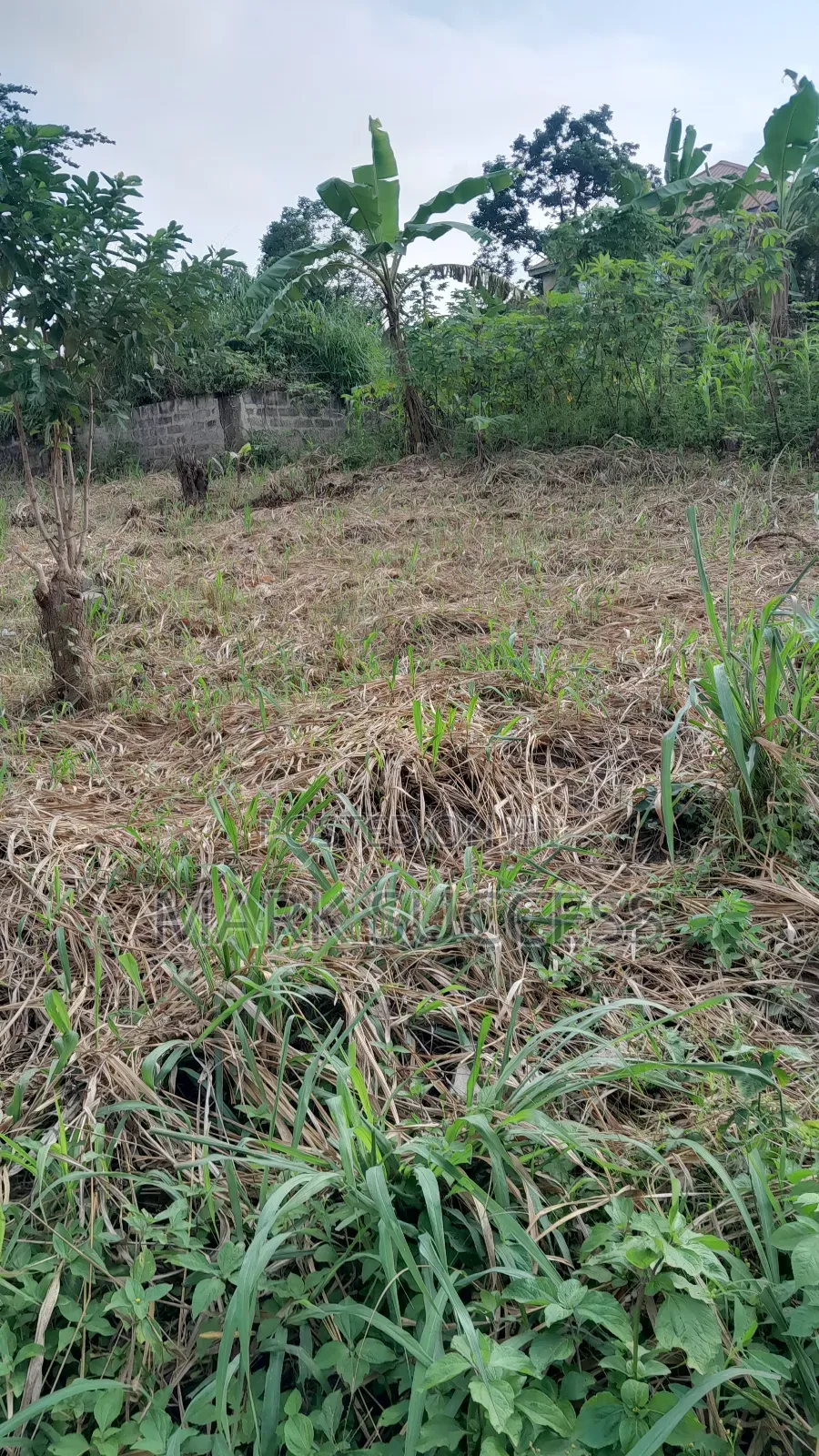 Registered Plots(Flexible Payment 4 Sale at Samsam Near Mayera Pokuase