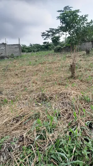 Registered Plots(Flexible Payment 4 Sale at Samsam Near Mayera Pokuase