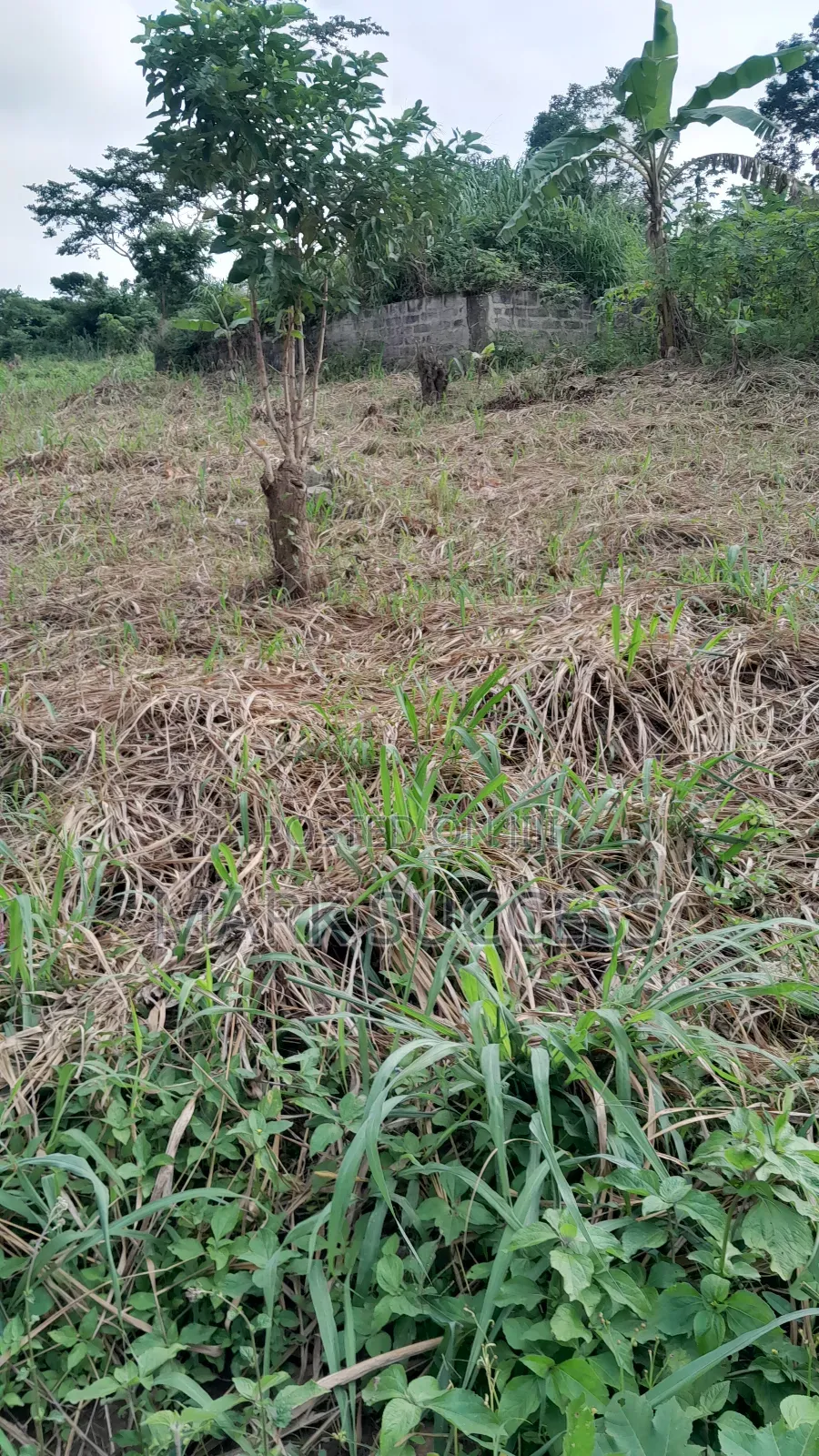 Registered Plots(Flexible Payment 4 Sale at Samsam Near Mayera Pokuase