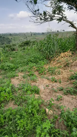 Registered Plots(Flexible Payment 4 Sale at Samsam Near Mayera Pokuase