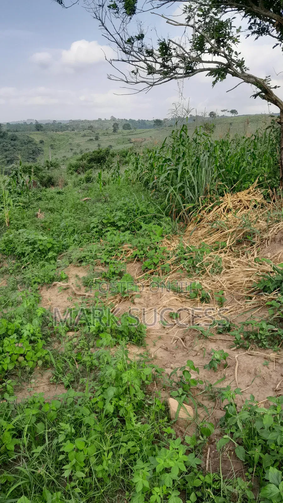 Registered Plots(Flexible Payment 4 Sale at Samsam Near Mayera Pokuase