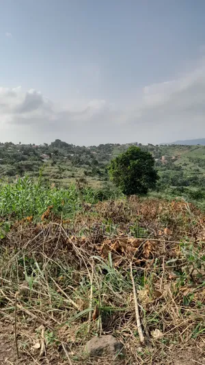 Registered Plots(Flexible Payment 4 Sale at Samsam Near Mayera Pokuase