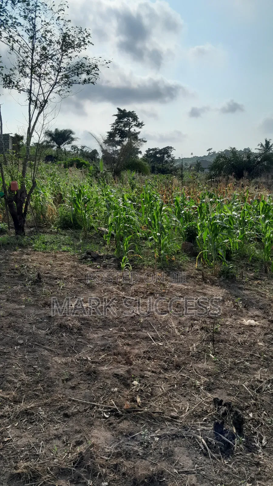 Registered Plots(Flexible Payment 4 Sale at Samsam Near Mayera Pokuase