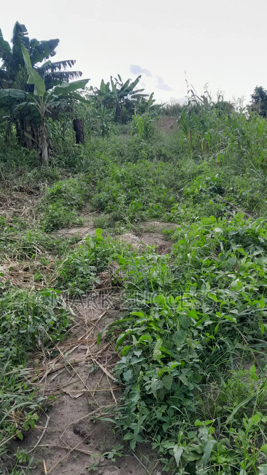 Registered Plots(Flexible Payment 4 Sale at Samsam Near Mayera Pokuase