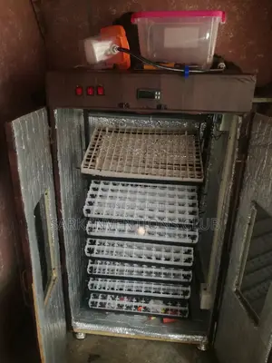 Egg Incubator