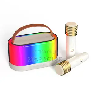 Mini Portable Karaoke Player With Two Microphones
