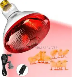 Heater Lamps,275 Watts
