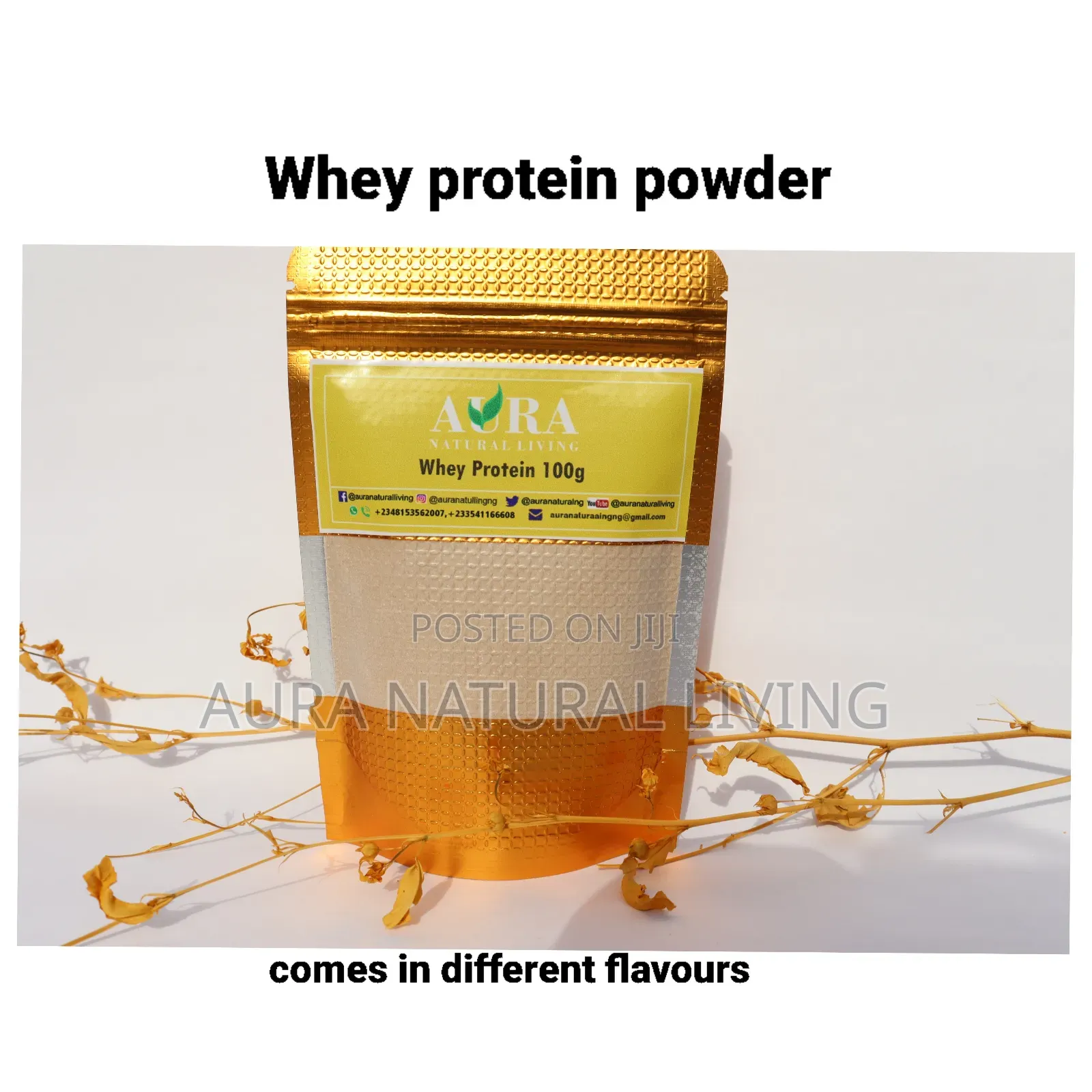 Whey Protein Powder 100g