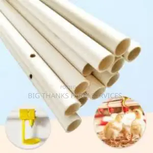 Poultry Drinker Pipes