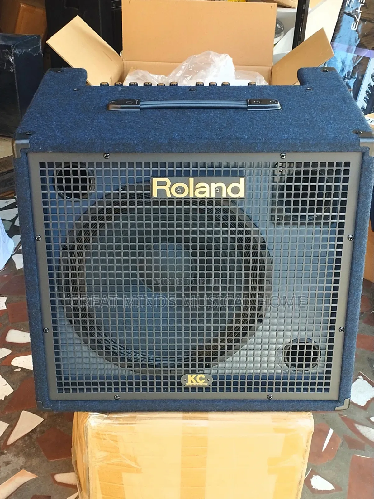 Roland Kc 550 Professional Keyboard Combo
