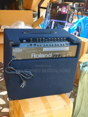 Roland Kc 550 Professional Keyboard Combo