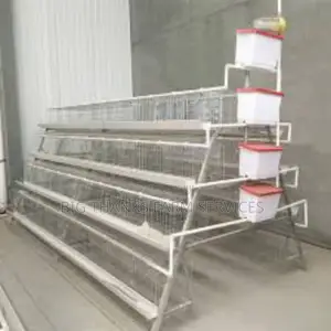 Poultry Battery Cages,120 Capacity