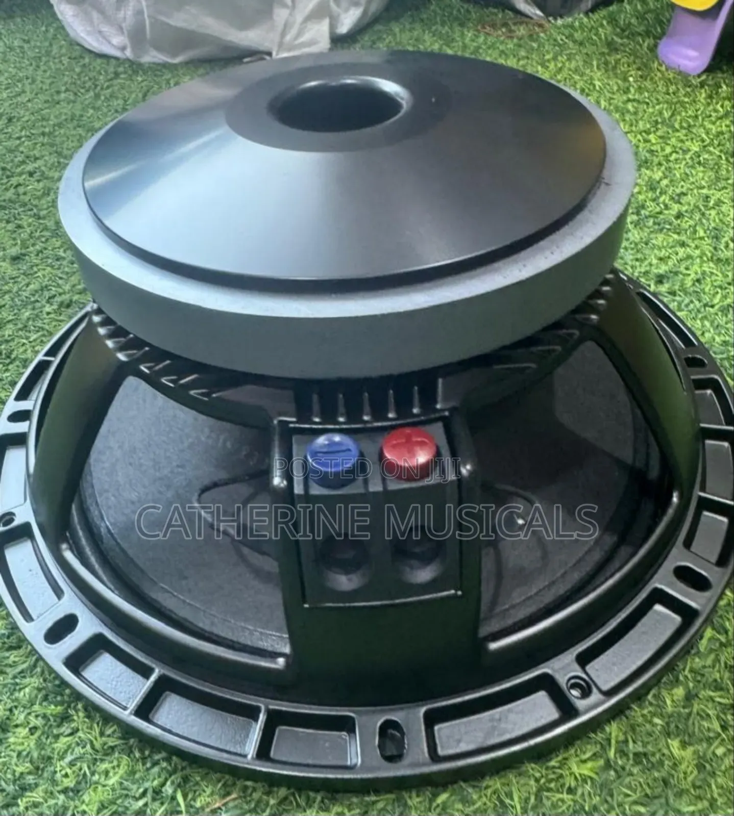 RFC 12 Inches Naked Speaker Double Magnet