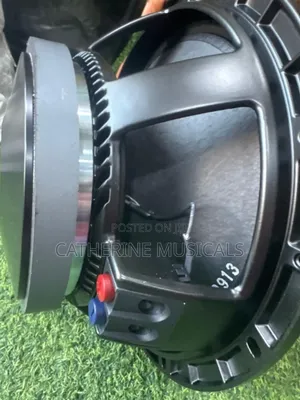 RFC 12 Inches Naked Speaker Double Magnet