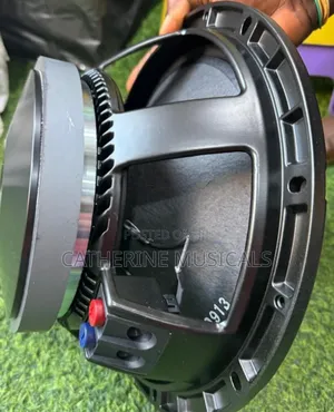 RFC 12 Inches Naked Speaker Double Magnet