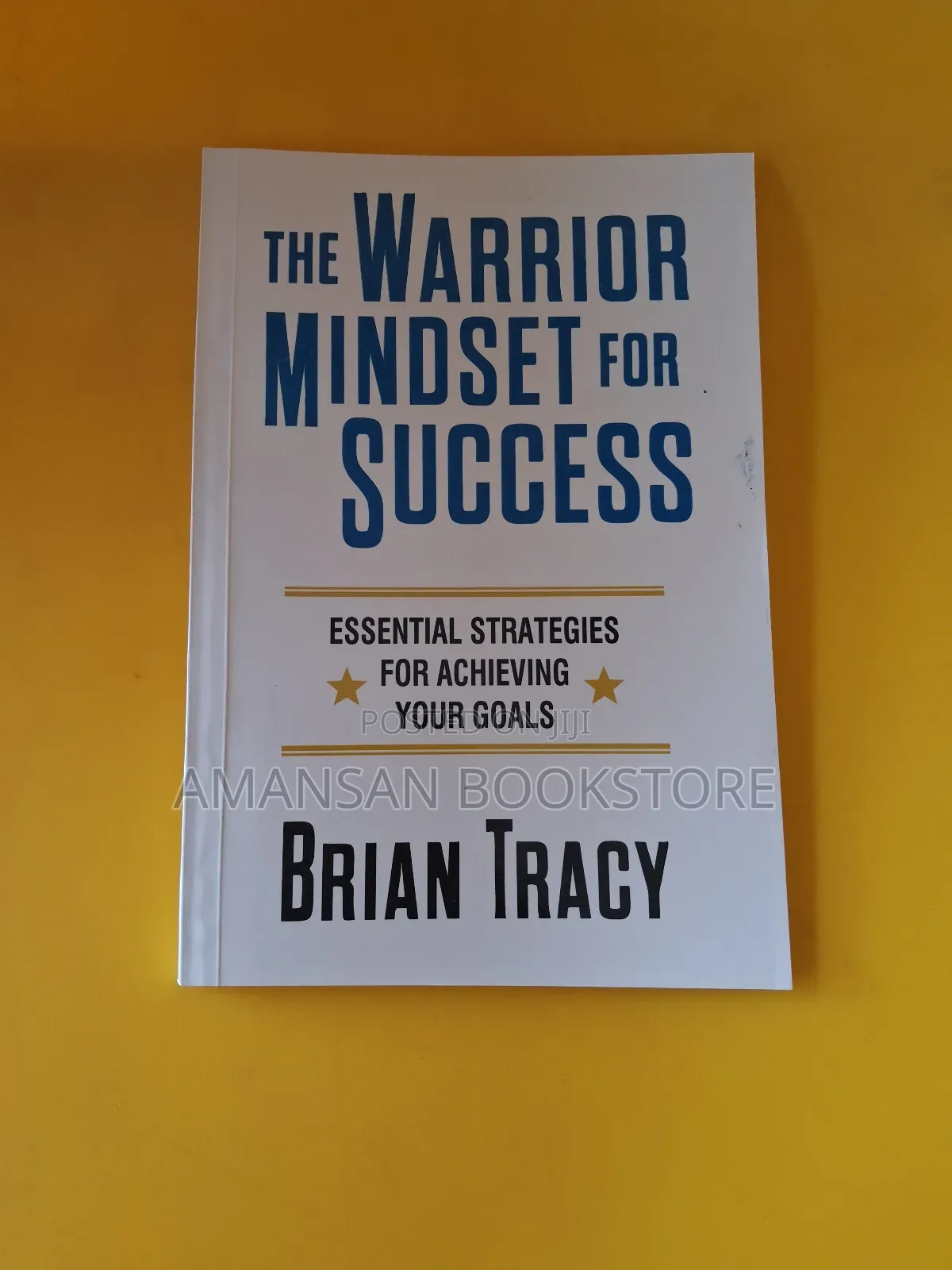 The Warrior Mindset for Success
