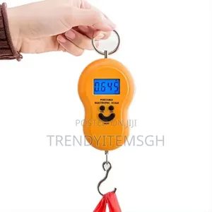 Handheld Digital Luggage Scale