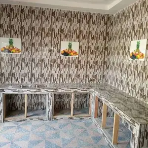 Professional Good Master Tiler