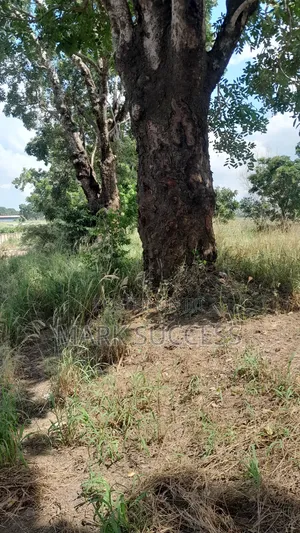 Road Side Fully Registered Plots for Sale at Ofankor Jeiriver
