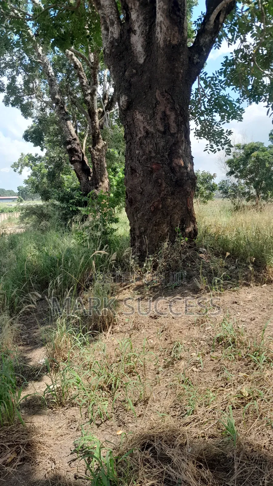 Road Side Fully Registered Plots for Sale at Ofankor Jeiriver