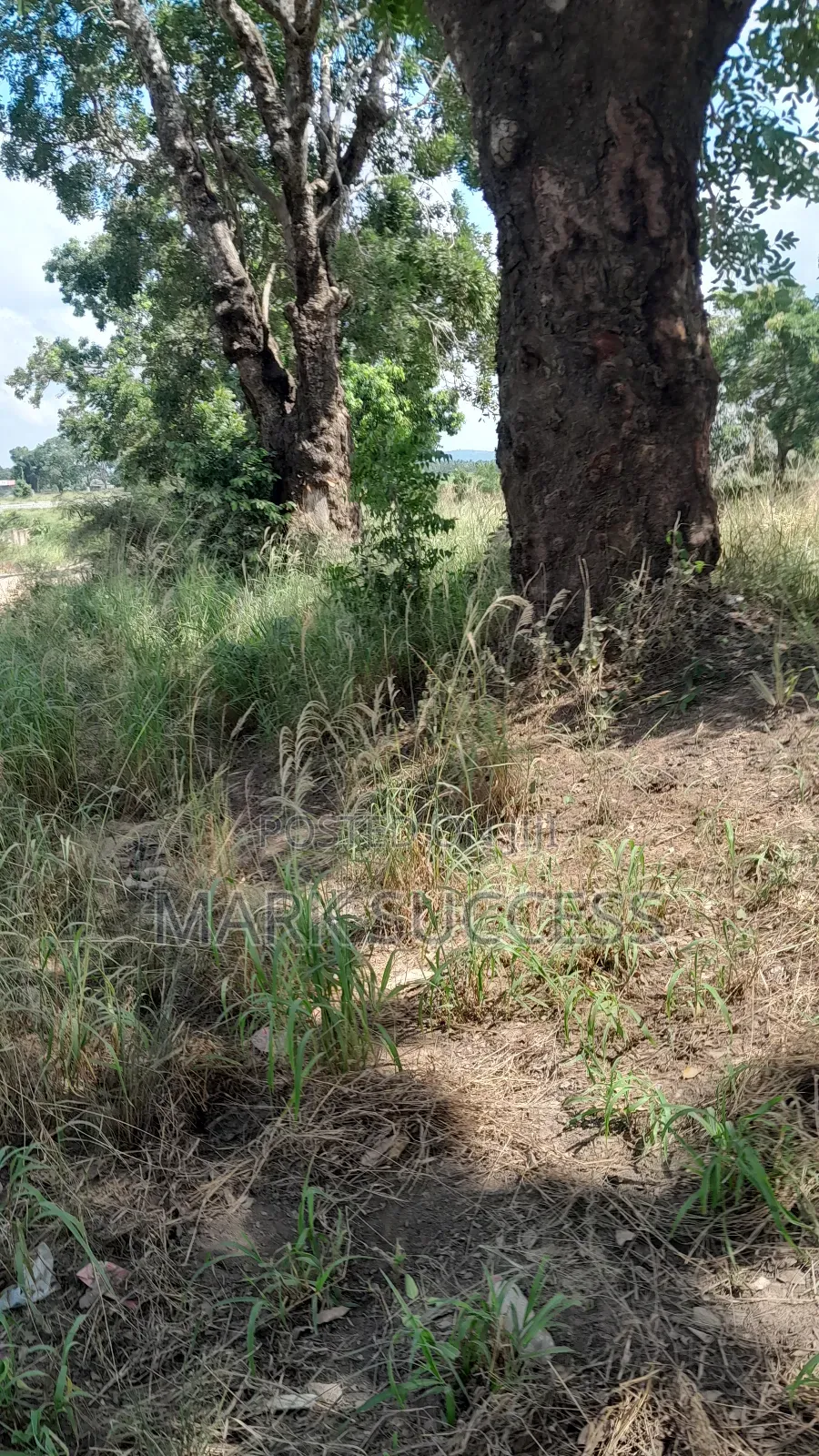 Road Side Fully Registered Plots for Sale at Ofankor Jeiriver