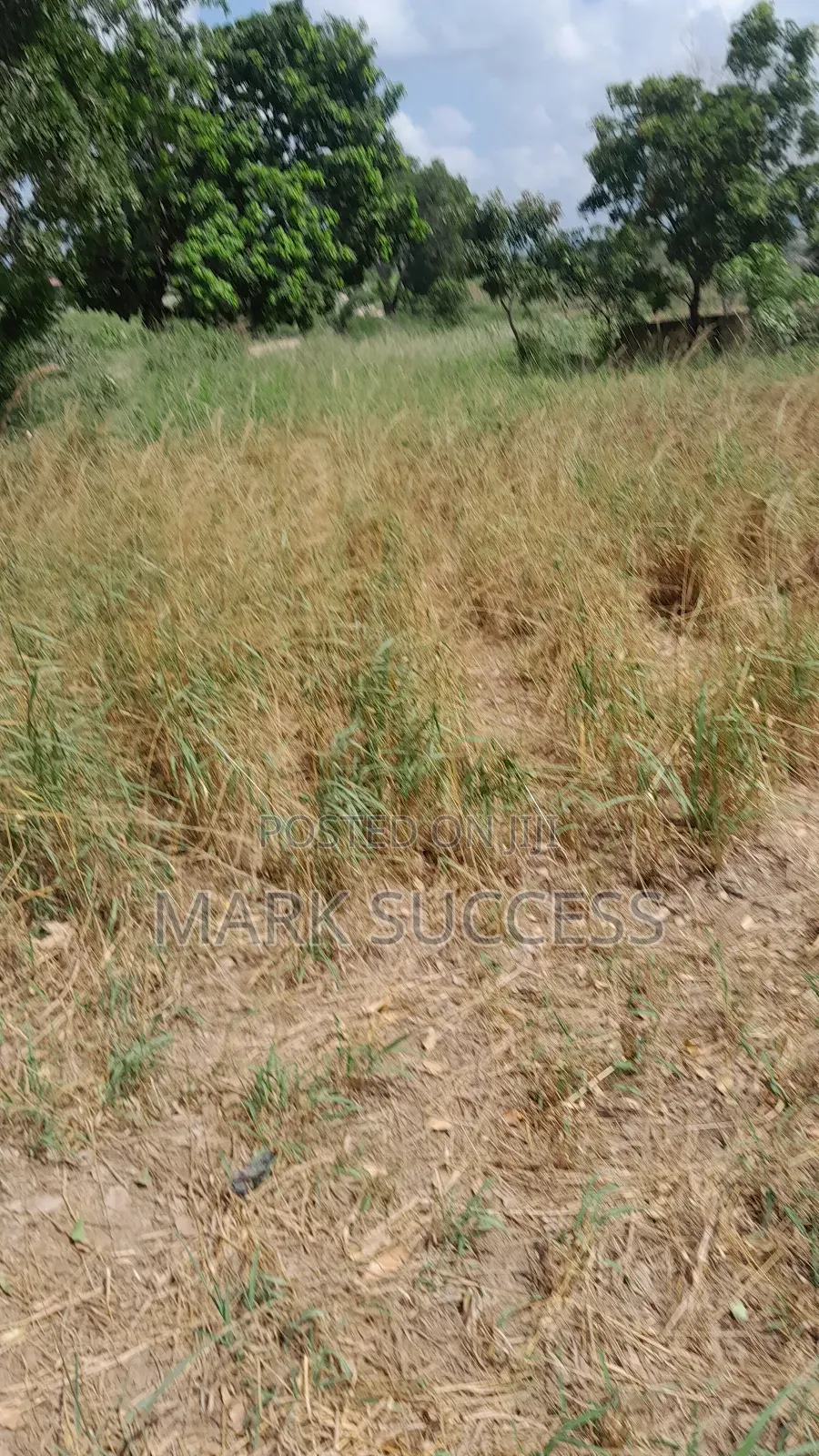 Road Side Fully Registered Plots for Sale at Ofankor Jeiriver