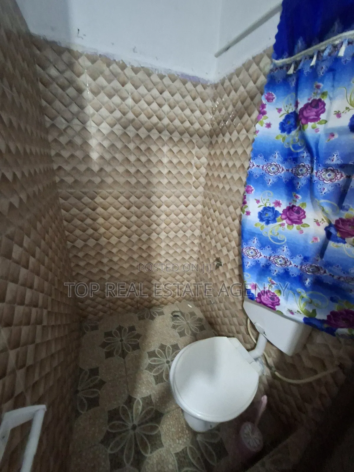 1bdrm Apartment in Boshie, Haatso for rent