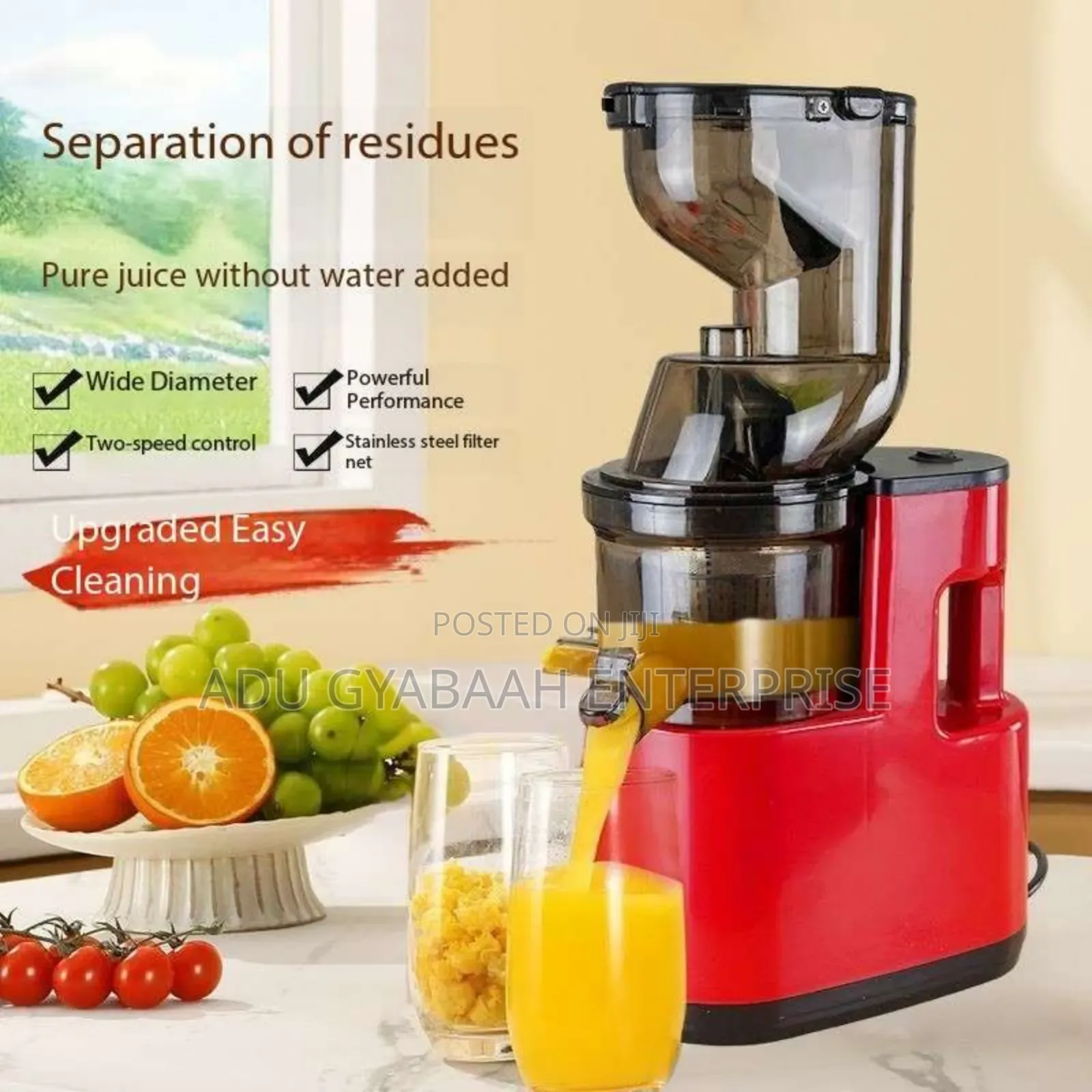 German Commercial Juicer