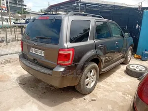 Ford Escape 2011 Gray