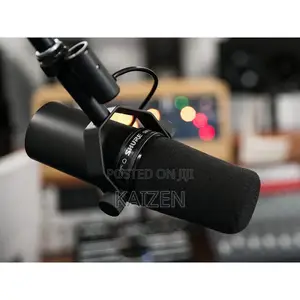 Professional Microphone