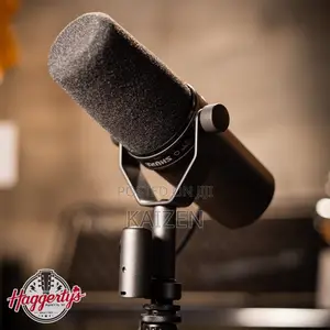 Professional Microphone