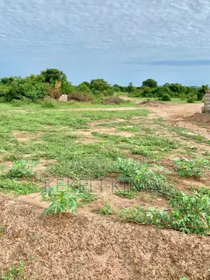 Live Estate Life – Plots Available Now Afienya-mobole Deals