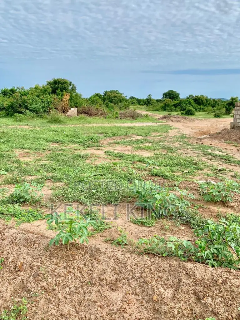 Live Estate Life – Plots Available Now Afienya-mobole Deals