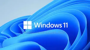 Any Windows and Linux Operating Systems Installation