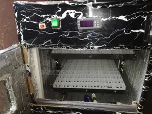 Egg Incubator